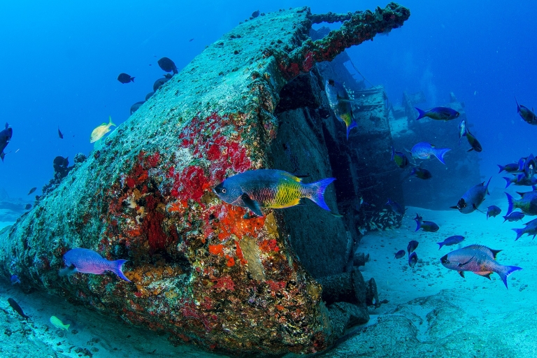 Cancún: buceo en naufragios y arrecifesBuceo en naufragios y arrecifes