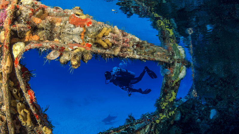 Cancún: Wreck and Reef for Certified Scuba Divers | GetYourGuide