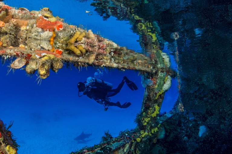 Cancún: buceo en naufragios y arrecifesBuceo en naufragios y arrecifes