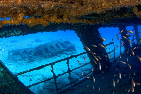Cancún: Wreck and Reef Dive Wreck and Reef Dive
