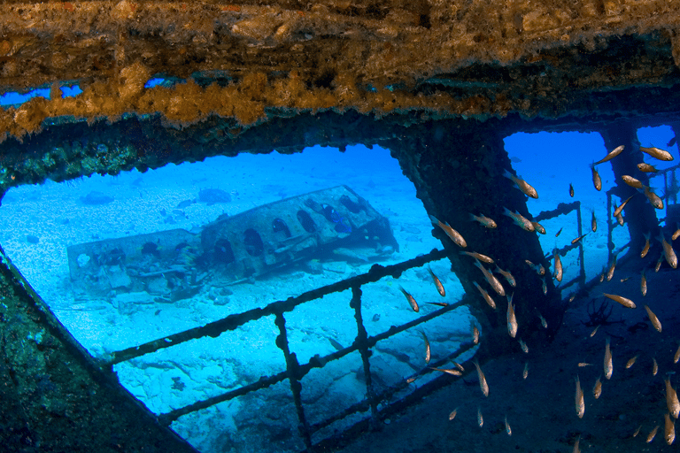 Cancún: buceo en naufragios y arrecifesBuceo en naufragios y arrecifes