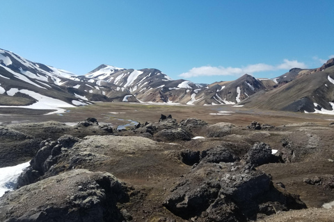 Vik: Superjeep-tur i Landmannalaugar-höglandetVik: Superjeep-tur i Landmannalaugar-höglandet för 5–8 personer