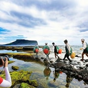 Jeju: 2-Day Island Highlights East & South-West Bus Tour