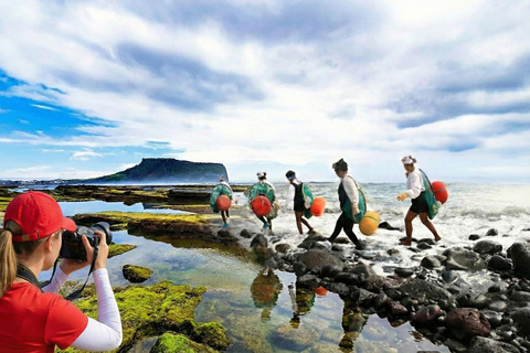 Jeju: 2-Day Island Highlights East & South-West Bus Tour