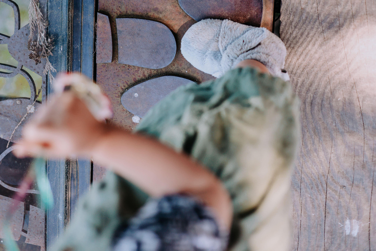 Bainbridge Island Discovery Tour