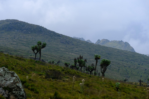 Aberdare National Park: Mount Satima Overnight Hike