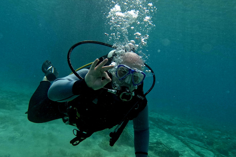 Paphos: Entdecken Sie das Tauchen mit Abholung