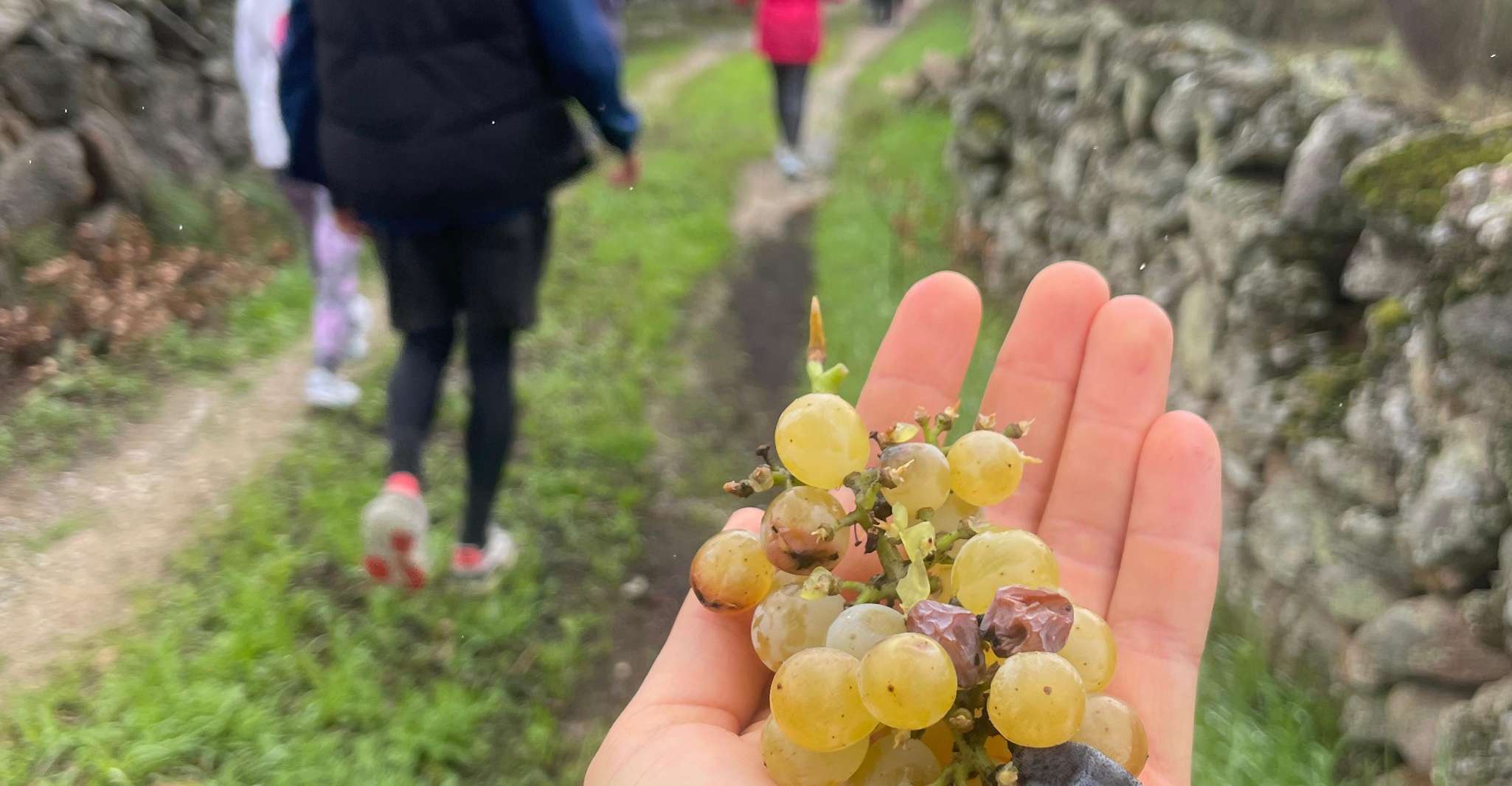 Hiking in Nature, Guided paths passing through Marvão - Housity