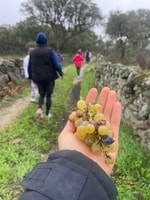 Escursioni in natura, percorsi guidati che attraversano Marvão - Housity