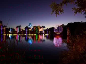 Phoenix: Phoenix ZooLights-Eintrittskarte Phoenix: Phoenix ZooLights-Eintrittskarte