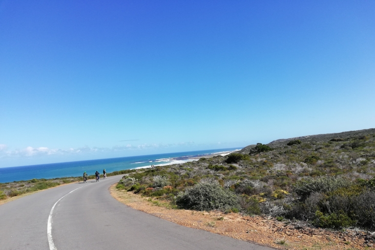 Península del Cabo: tour privado de día completo en bicicleta y en coche