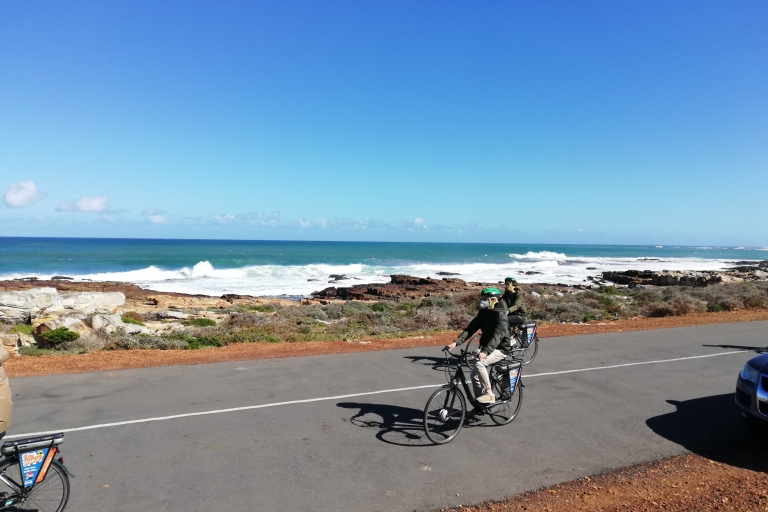 Península del Cabo: tour privado de día completo en bicicleta y en coche