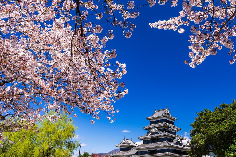 Nagano Tokyo: Snow Monkey Private Day Tour Hotel Pick & Drop Snow Monkey Private Day Tour Hotel Pick & Drop Off In Crown