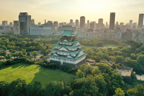 Château d'Osaka : visite historique à pied, entrée à la tour du château