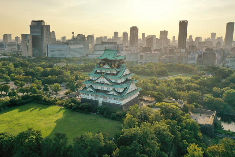 Osaka Castle: History Walking Tour, Castle Tower Admission