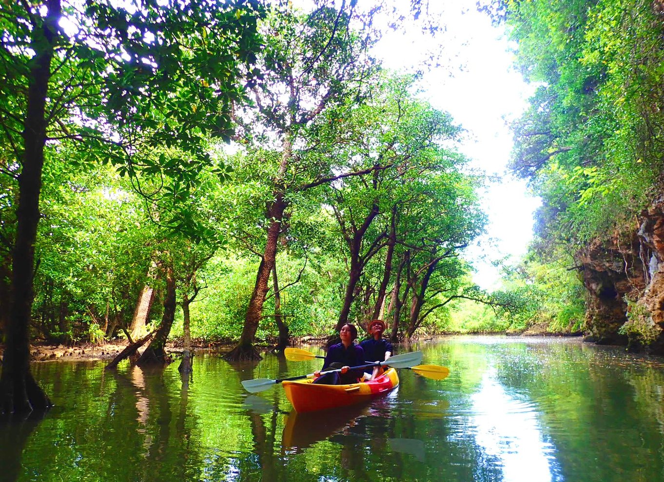 Ishigaki Island: SUP/Kayak og snorkling ved Blue Cave