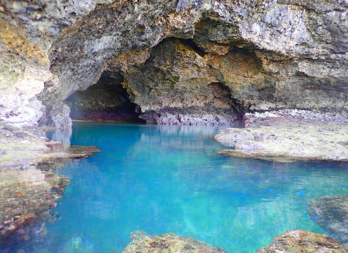 Ishigaki Island: SUP/Kayak og snorkling ved Blue Cave