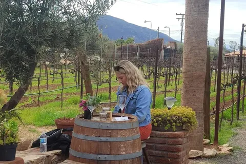 Ensenada: Ojos Negros Valley Cheese and Wine Tasting Tour