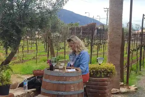 Ensenada: Ojos Negros Valley Cheese and Wine Tasting Tour