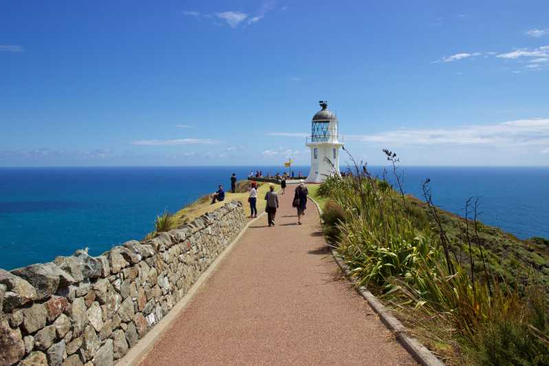 From Paihia: Cape Reinga and Ninety Mile Beach with Lunch