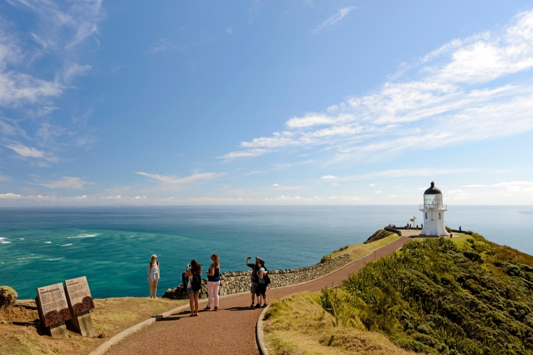 From Paihia: Cape Reinga and Ninety Mile Beach with Lunch