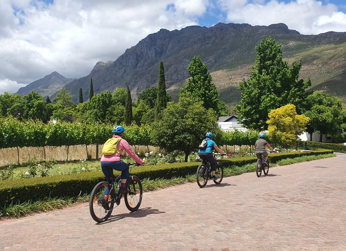 Stellenbosch: Historisk cykeltur og vinsmagning