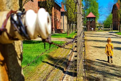 From Krakow: Auschwitz Birkenau Small Group Tour with Pickup