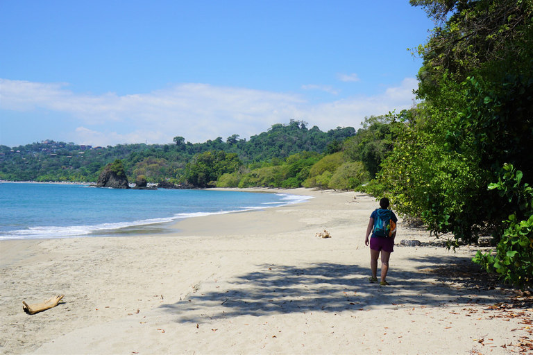 San Jose Kostaryka: wycieczka po Parku Narodowym Manuel AntonioSan Jose: Wycieczka grupowa po Parku Narodowym Manuel Antonio