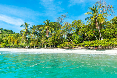 San Jose Kostaryka: wycieczka po Parku Narodowym Manuel AntonioSan Jose: Wycieczka grupowa po Parku Narodowym Manuel Antonio