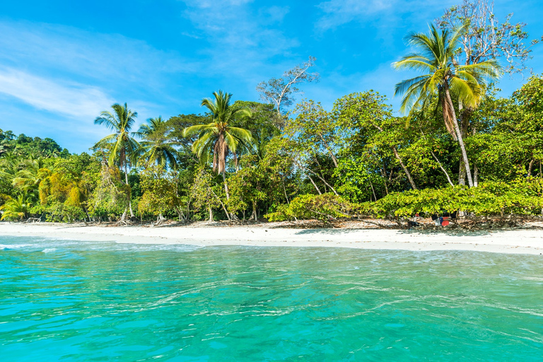 San Jose Kostaryka: wycieczka po Parku Narodowym Manuel AntonioSan Jose: Wycieczka grupowa po Parku Narodowym Manuel Antonio