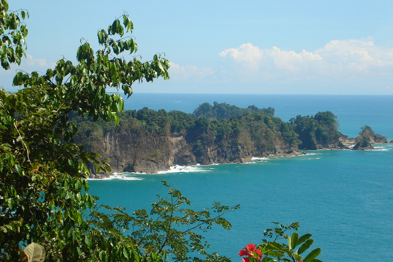 San Jose Kostaryka: wycieczka po Parku Narodowym Manuel AntonioSan Jose: Wycieczka grupowa po Parku Narodowym Manuel Antonio