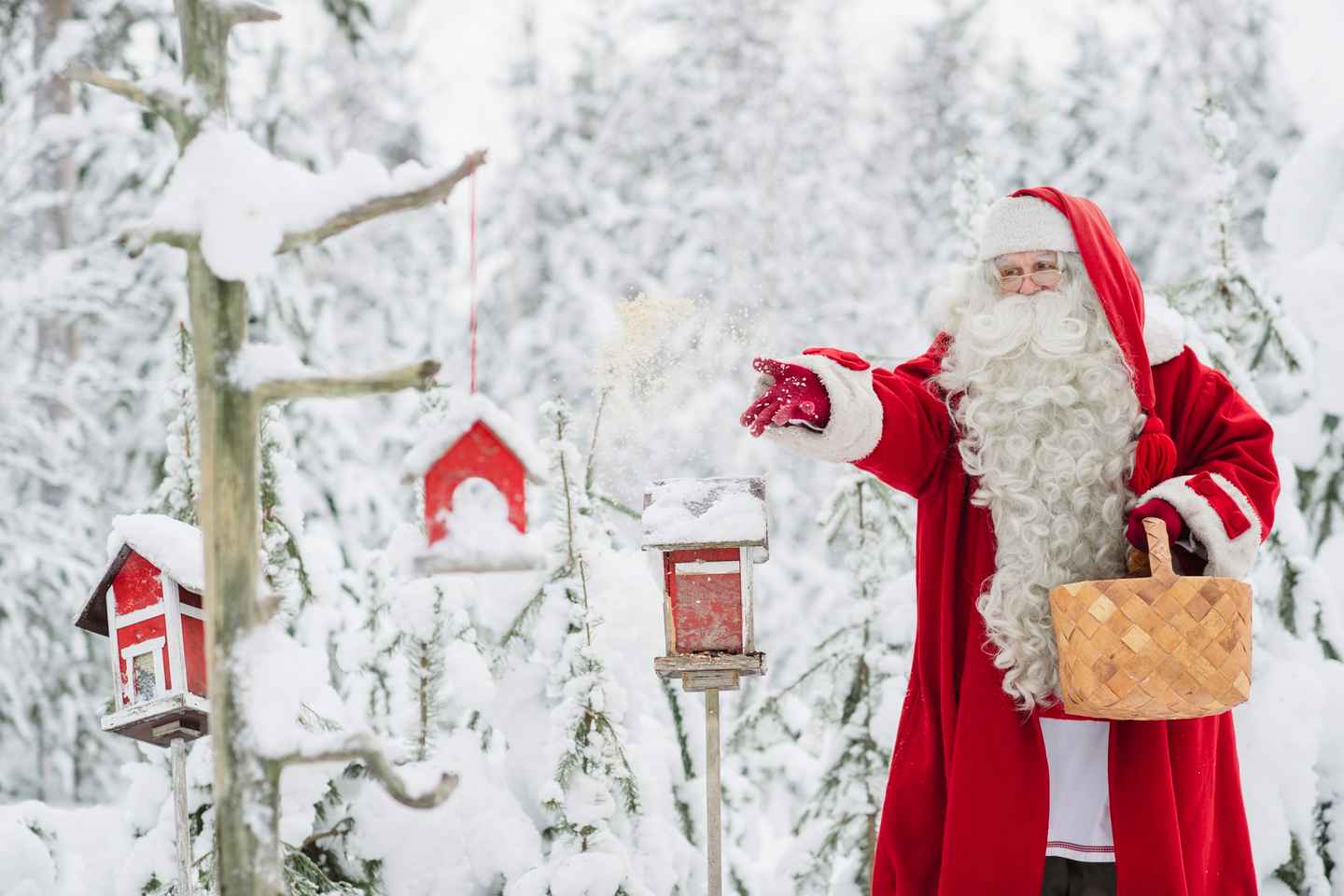 Santa Claus Village with Photo, Certificate, & Lunch