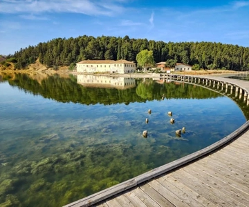 From Tirana/Durres/Golem: Vlora City and Zvernec Island Tour