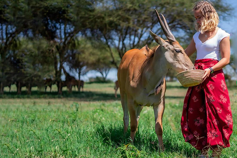 Arusha: 1 Day Serval Wildlife-Petting Lion & Feeding Animals