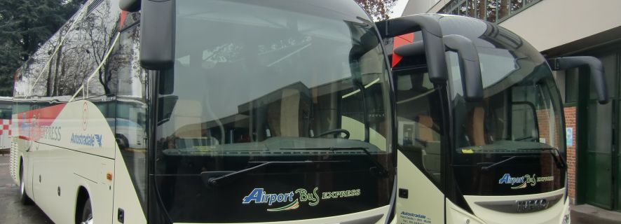 Brescia: Shared Bus Transfer to/from Milan Bergamo Airport