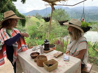 Bogotá, visita guiada a la finca de café de 5 horas - Hizvo