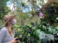 Bogotá, visita guiada a la finca de café de 5 horas - Hizvo