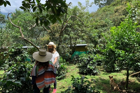 Bogotá: Guided 5-Hour Coffee Farm TourOpcja standardowa
