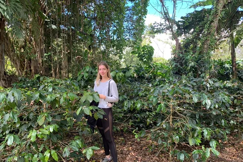Bogotá: Visita guiada de 5 horas a un cafetal