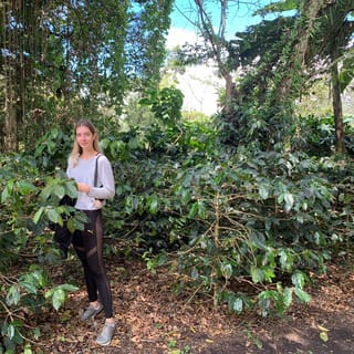 Bogotá: Guided 5-Hour Coffee Farm Tour