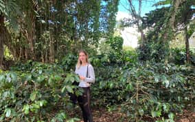 Bogotá: Guided 5-Hour Coffee Farm Tour