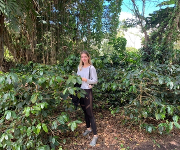 Bogotá: Guided 5-Hour Coffee Farm Tour