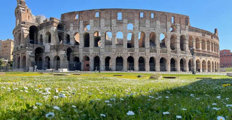 Rome Colosseum Tour with Access to the Gladiator Arena GetYourGuide