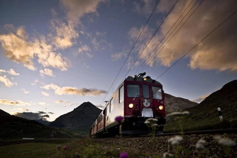 UNESCO Rhaetian Railway: Viaduct, Train Museum, St. Moritz Group of 8 Excluding Train Tickets