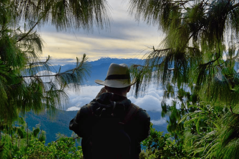 Minca: 2-day tour to Cerro Kennedy with waterfall and night in the mountains