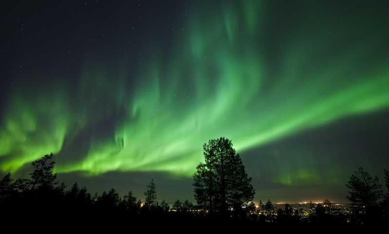 Suomen Lappi: Arctic Nature: Capture The Auroras in Arctic Nature |  GetYourGuide