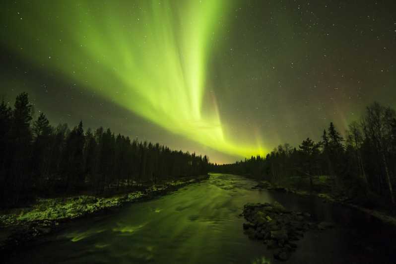 Suomen Lappi: Arctic Nature: Capture The Auroras in Arctic Nature |  GetYourGuide