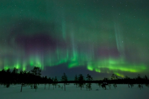 Fińskie Laponie: Uchwyć zorze polarne w arktycznej przyrodzie2 noce: uchwyć zorze polarne w arktycznej przyrodzie