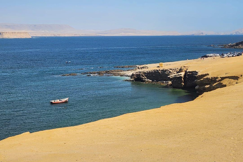 HELE DAG PARACAS - ICA