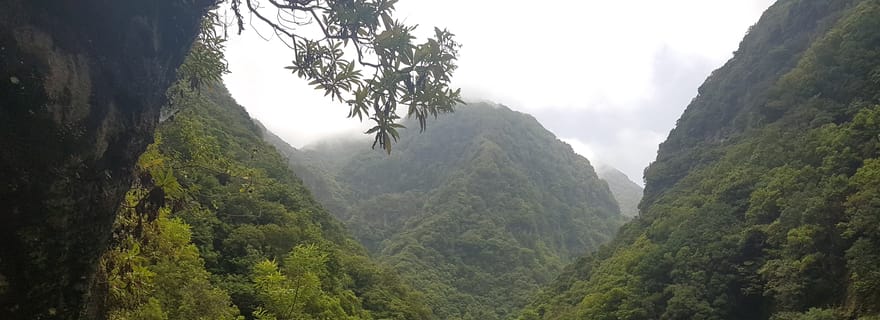 Madère: promenade guidée privée Castelejo Levada